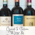 Italian wine bottles for food pairing