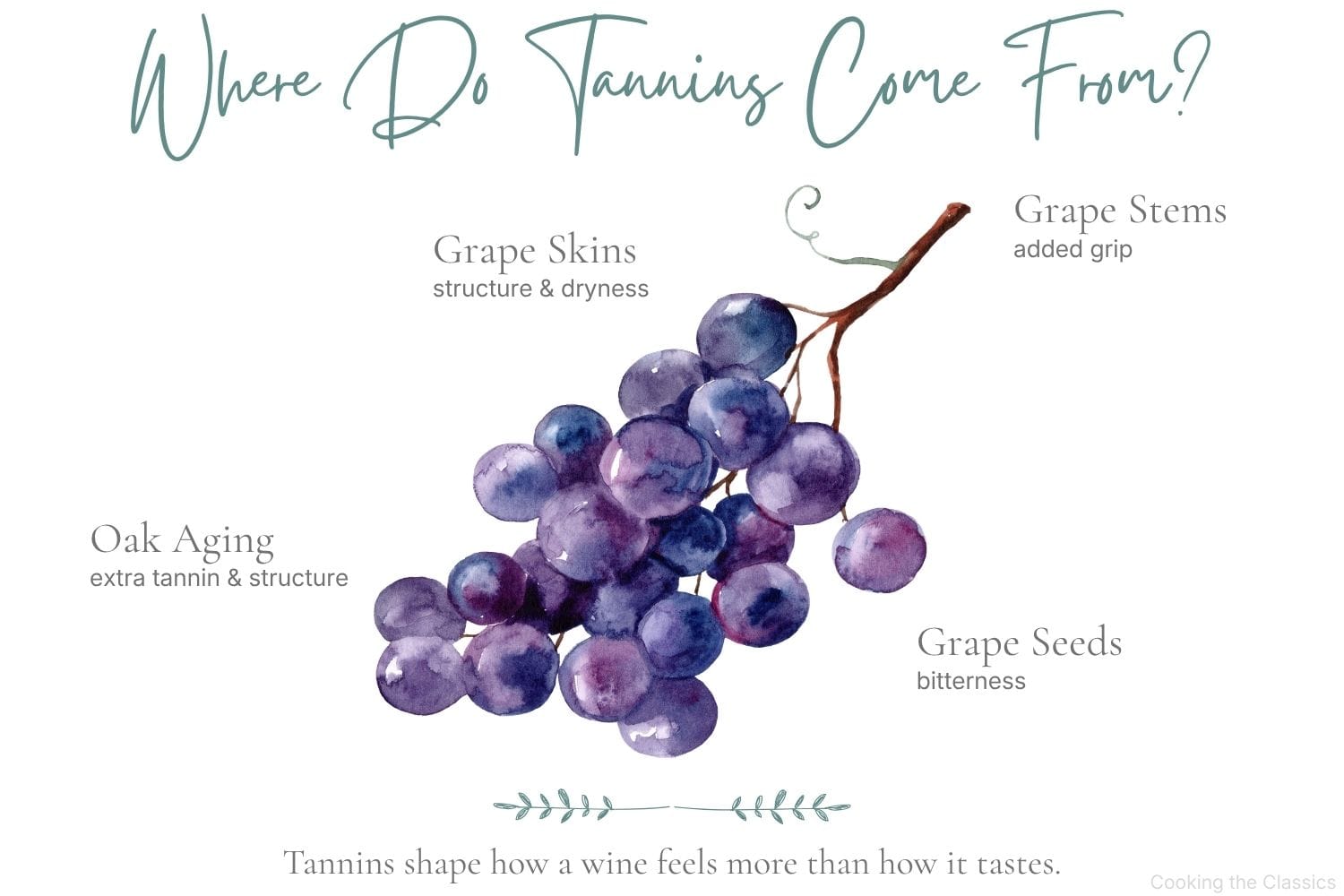 Editorial-style graphic explaining where tannins in wine come from, featuring a watercolor cluster of purple grapes with labeled callouts for grape skins, seeds, stems, and oak aging on a soft neutral background.