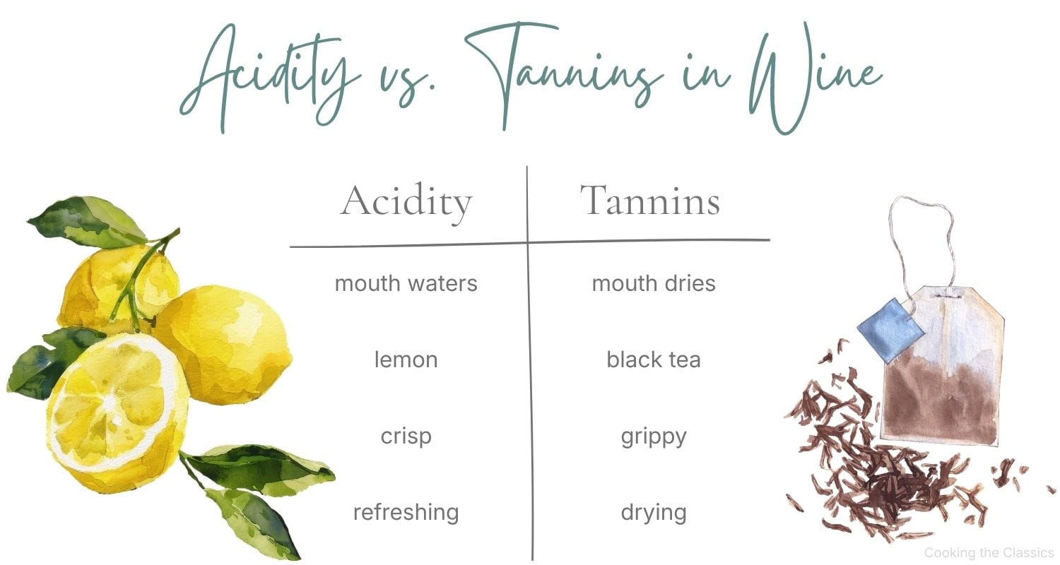 Infographic comparing acidity and tannins in wine, showing acidity as mouth-watering and lemon-like, and tannins as drying and similar to black tea.