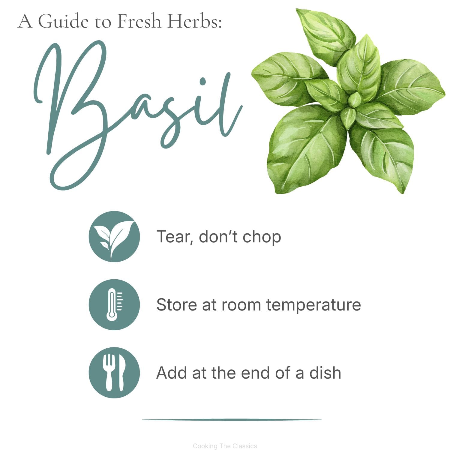 Watercolor illustration of fresh basil with the title "A Guide to Fresh Herbs: Basil." Tips include: tear, don't chop; store at room temperature; and add at the end of a dish.