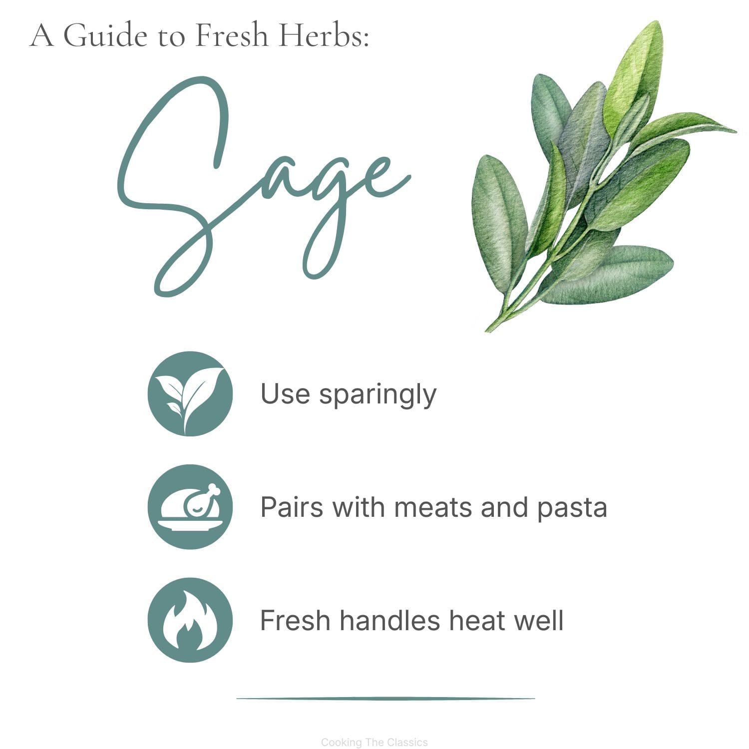 Watercolor illustration of sage with the title "A Guide to Fresh Herbs: Sage." Tips include: use sparingly, pair with meats and pasta, and note that fresh sage handles heat well.