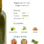 Infographic guide to Verdicchio wine from Italy's Marche region showing the grape, flavor profile, body, acidity, sweetness, and food pairings including seafood, roast chicken, and asparagus.