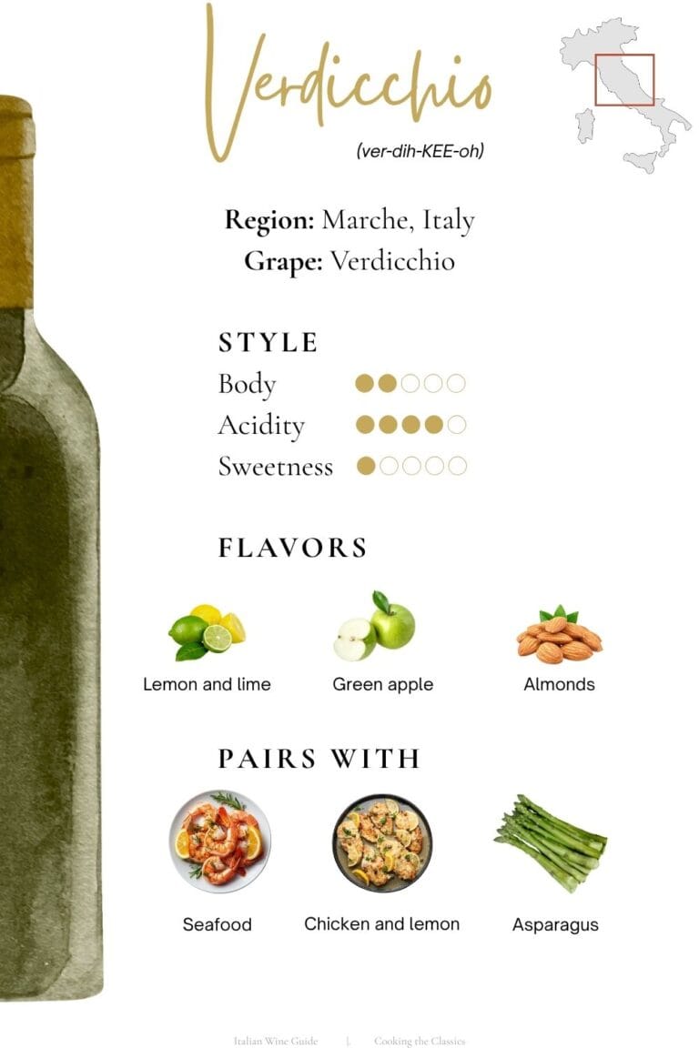 Infographic guide to Verdicchio wine from Italy's Marche region showing the grape, flavor profile, body, acidity, sweetness, and food pairings including seafood, roast chicken, and asparagus.