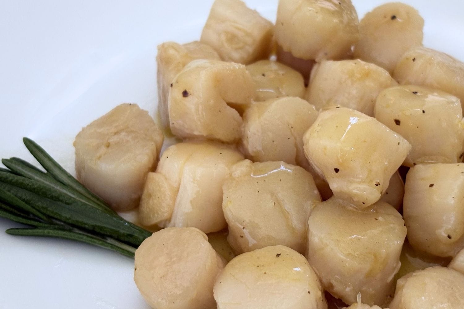 Close-up of sautéed scallops coated in rosemary and lemon olive oil sauce.