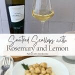 Sautéed scallops with rosemary and lemon served with a glass of Verdicchio wine.