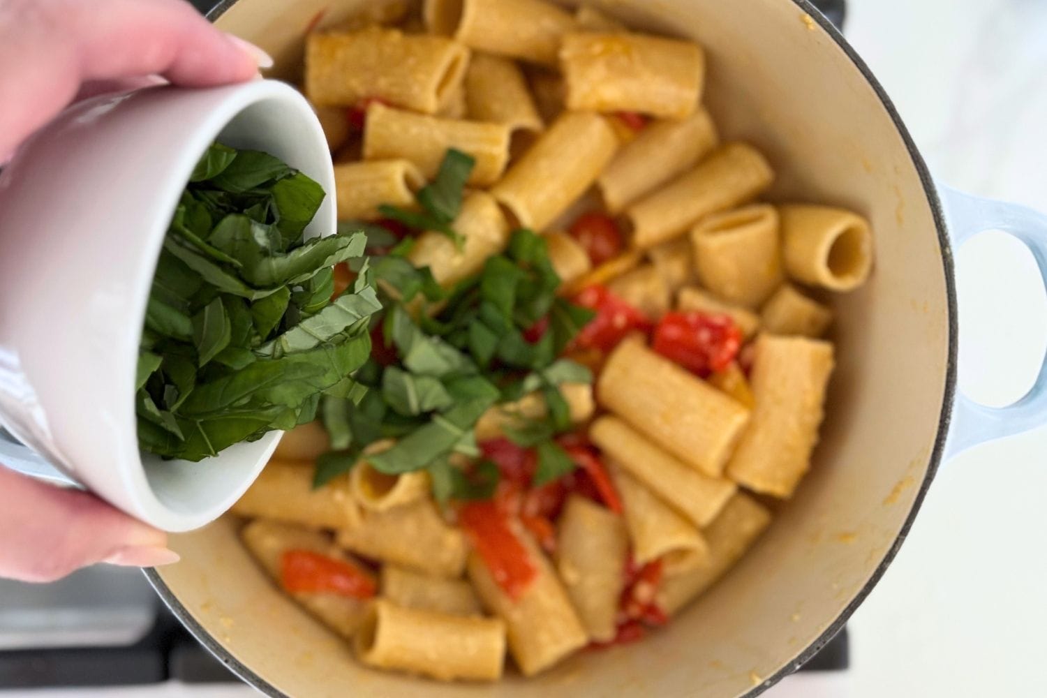 Freshly torn basil being added to a Dutch oven filled with rigatoni and cooked red and yellow bell peppers.